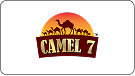 Logo 4