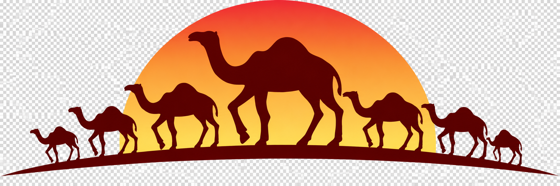 CAMEL 7